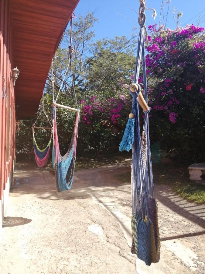 Pension Y Cabinas Colibri B&B Costa Rica Monteverde 외부 사진