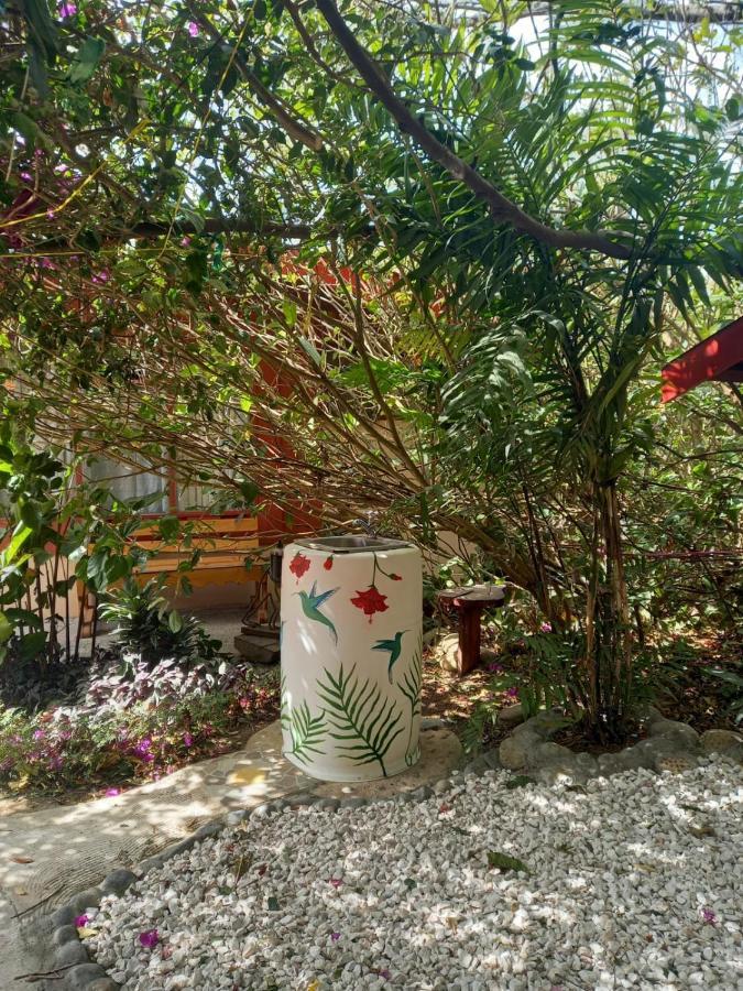Pension Y Cabinas Colibri B&B Costa Rica Monteverde 외부 사진