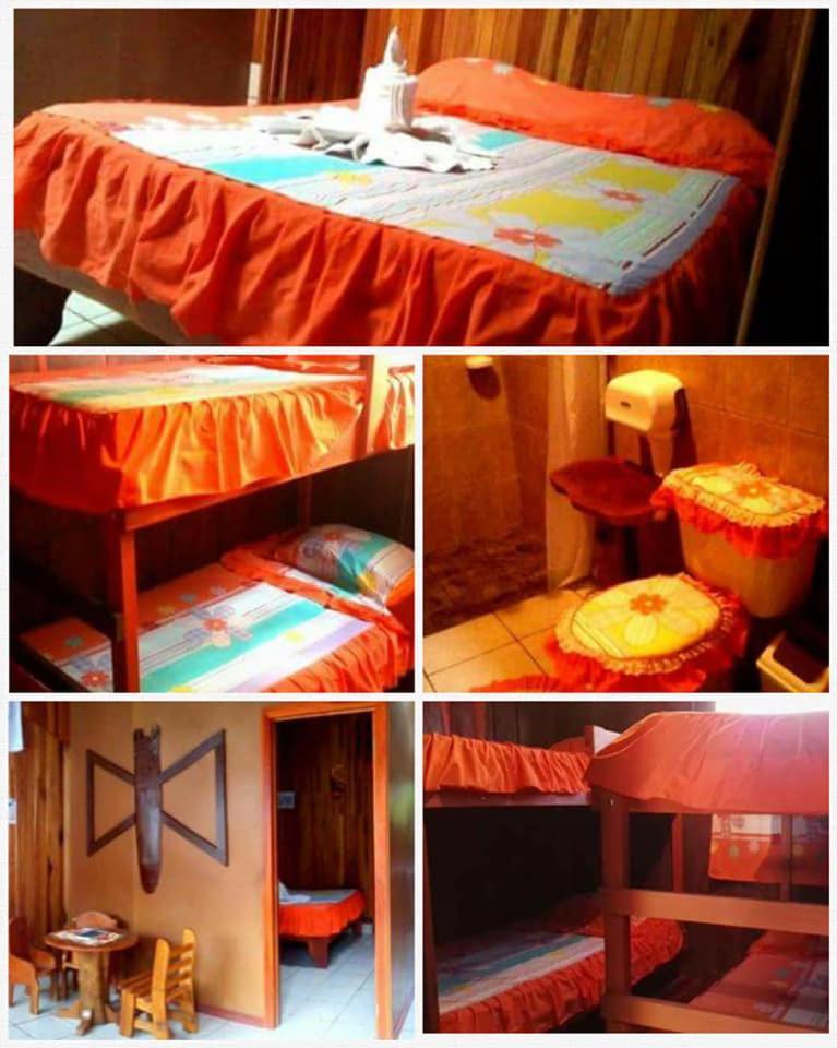 Pension Y Cabinas Colibri B&B Costa Rica Monteverde 외부 사진