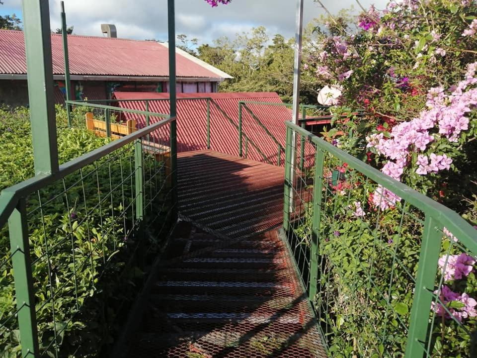 Pension Y Cabinas Colibri B&B Costa Rica Monteverde 외부 사진
