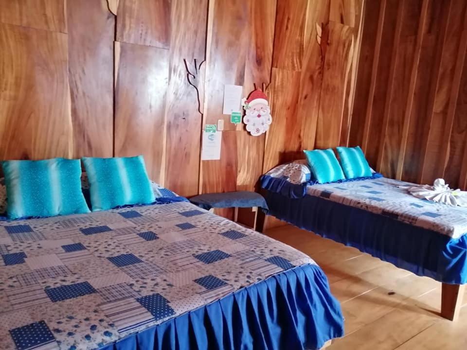 Pension Y Cabinas Colibri B&B Costa Rica Monteverde 외부 사진
